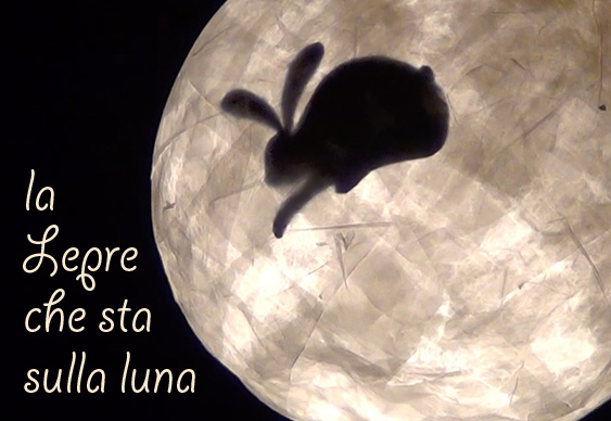 La lepre che sta sulla luna